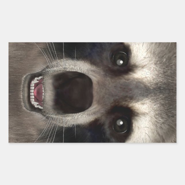 Racoon Rectangular Sticker (Front)