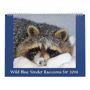 Racoon Rescue & Release at Wild Blue Yonder 2019 Calendar