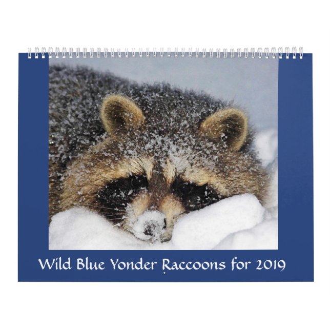 Racoon Rescue & Release at Wild Blue Yonder 2019 Calendar (Cover)