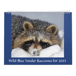 Racoon Rescue & Release at Wild Blue Yonder 2023 Calendar