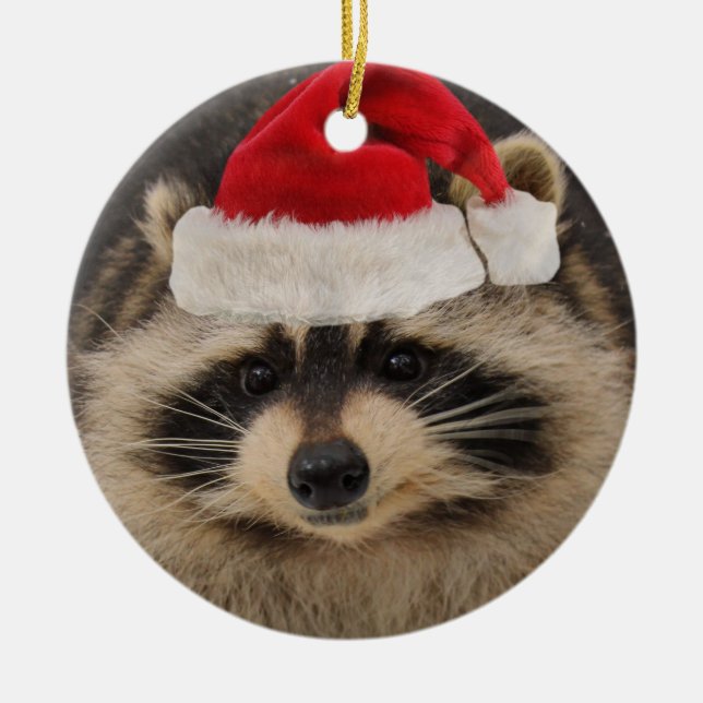 Racoon Santa ornament (Front)