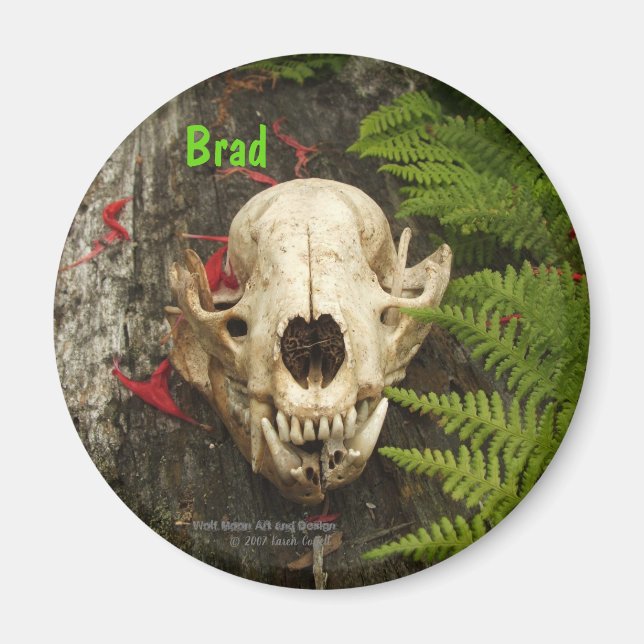 Racoon skull old log with ferns and red Monarda Magnet (Front)