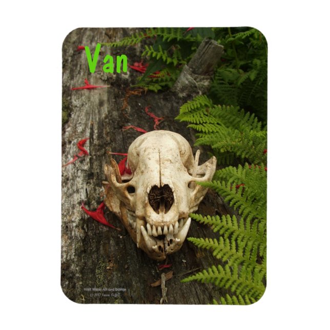 Racoon skull old log with ferns and red Monarda Magnet (Vertical)