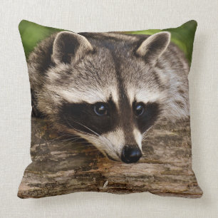 Racoon Square Throw Pillow