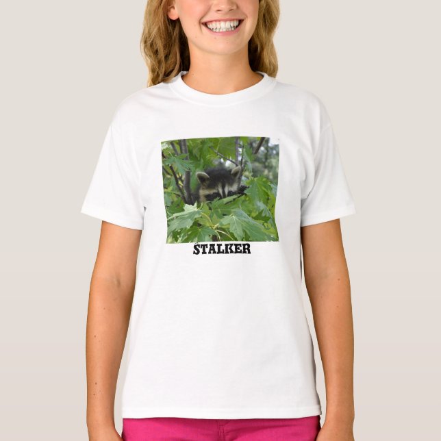 Racoon Stalker - Women's T-Shirt (Front)