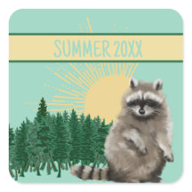 Racoon Summer