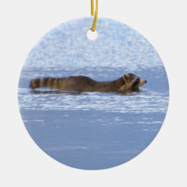 Racoon Swimming Photo Ornament  (Front)