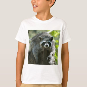 Racoon Tees