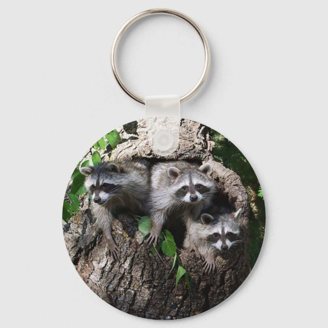 Racoon - The Three Amigos Key Ring (Front)