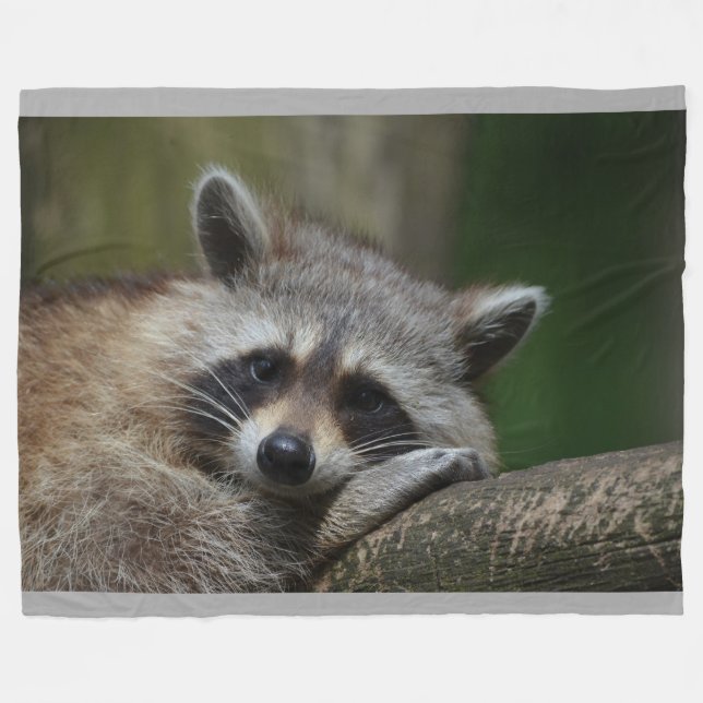 Racoon Throw Blanket (Front (Horizontal))