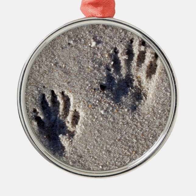 Racoon Tracks in the Sand Metal Tree Decoration (Front)