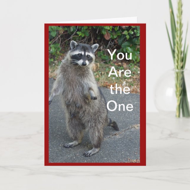 Racoon Valentine Card (Front)