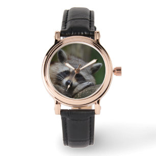 Racoon Watch