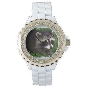 Racoon Watch