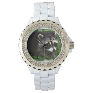 Racoon Watch