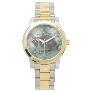 Racoon Watch