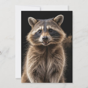 Racoon Wild Animal Elegant Dramatic Mist Portrait Announcement