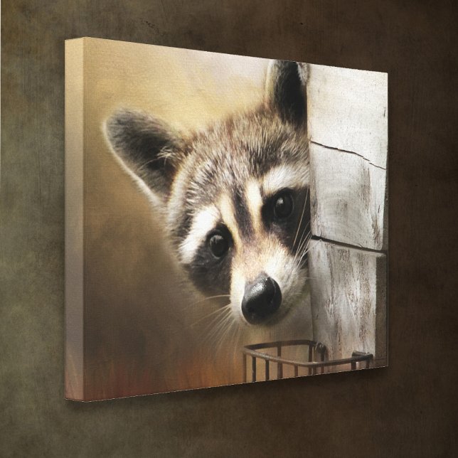 Racoon Wildlife Canvas (Creator Uploaded)