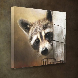 Racoon Wildlife Canvas Print