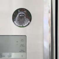 Racoon Wildlife Photo Forest Conservation