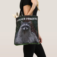 Racoon Wildlife Photo Forest Conservation