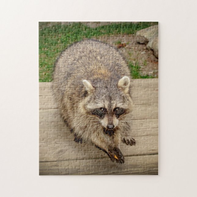 Racoon with a chip jigsaw puzzle (Vertical)