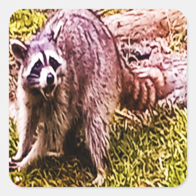 Racoon With A Fleur De Lis Sticker (Front)