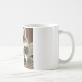 Racoon Youngster Mug