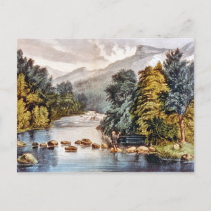 Racquet River--Adirondacks Postcard