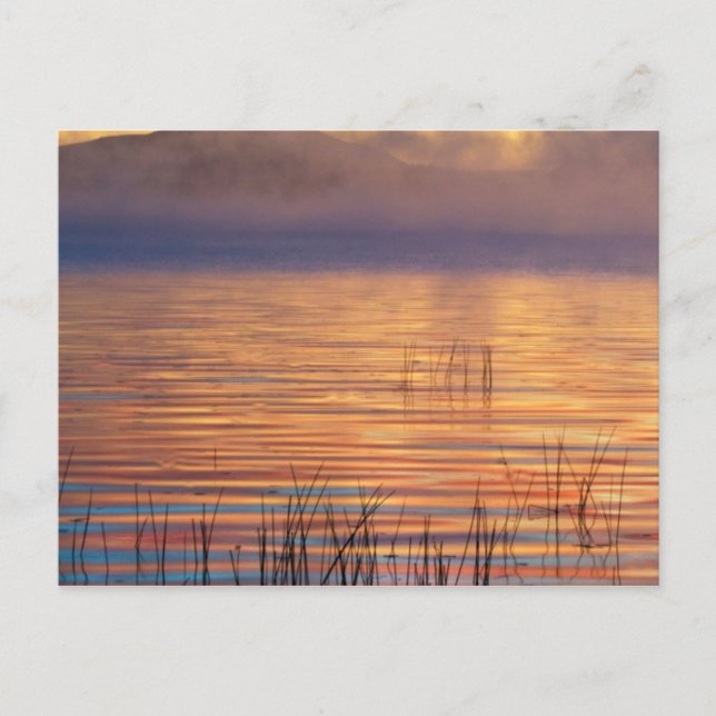 Racquette Lake | Adirondack Mountains, New York Postcard (Front)