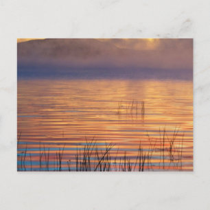 Racquette Lake Adirondack Mountains, New York Postcard