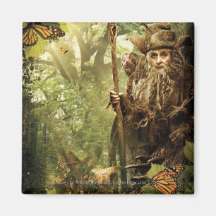 RADAGAST™ in Forest Magnet