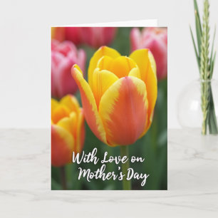 Radiant Bloom Pattern Card