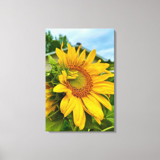 Radiant Blooms Brightening My Day 🌻✨ Canvas Print