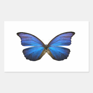 Radiant Blue Butterfly Rectangular Sticker