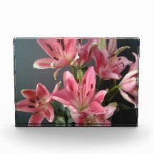 Radiant Grace:  Pink Lilies in Bloom
