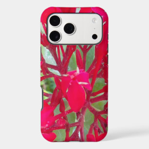Radiant Life   Beautiful Blood Flower Milkweed Art