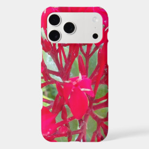 Radiant Life Beautiful Blood Flower Milkweed Art