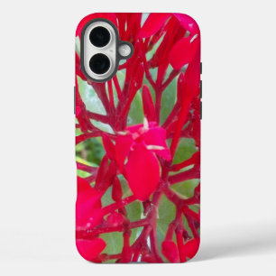 Radiant Life   Beautiful Blood Flower Milkweed Art iPhone 16 Plus Case