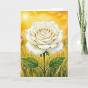 Radiant Petal Series – white rose Card