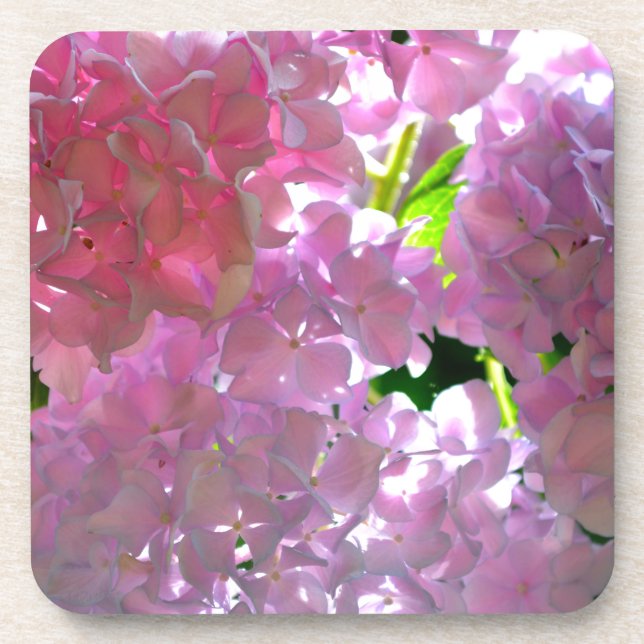 Radiant Pink Hydrangeas Coaster (Front)