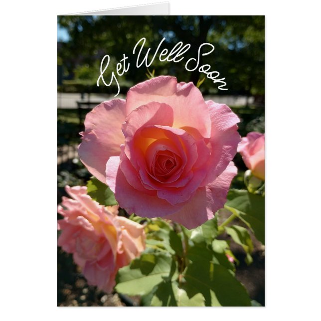 Radiant Pink Tea Rose Get Well Soon Card (Front)