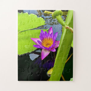 Radiant Purple Water Lily in Tranquil Pond Jigsaw Puzzle