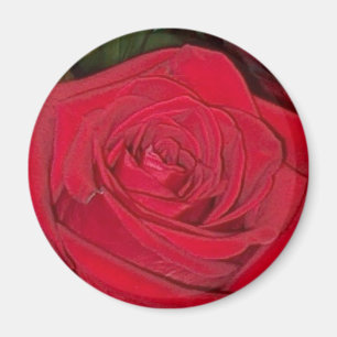 Radiant Red Rose Magnet