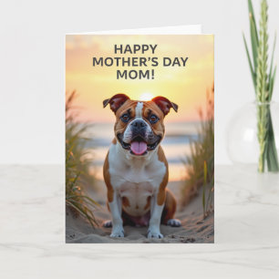 Radiant Sunset Dog Card