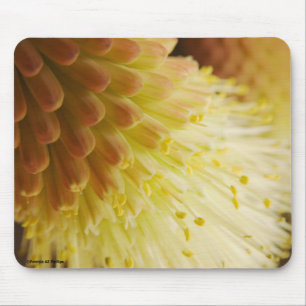 Radiant Torch Lily Mouse Pad