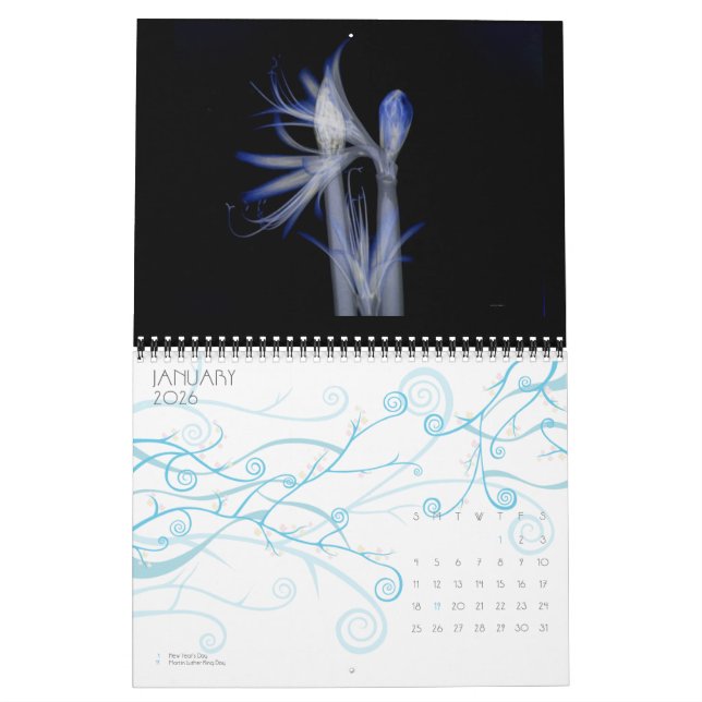 Radiating Beauty ( An X-Ray study of Flowers) Calendar (Jan 2026)