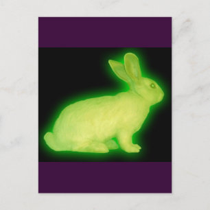 RADIATION RABBIT POSTCARD