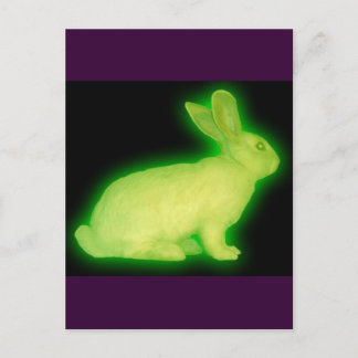 RADIATION RABBIT POSTCARD