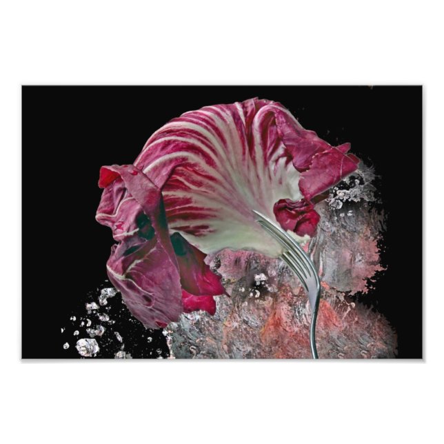 Radicchio. Photo Print (Front)